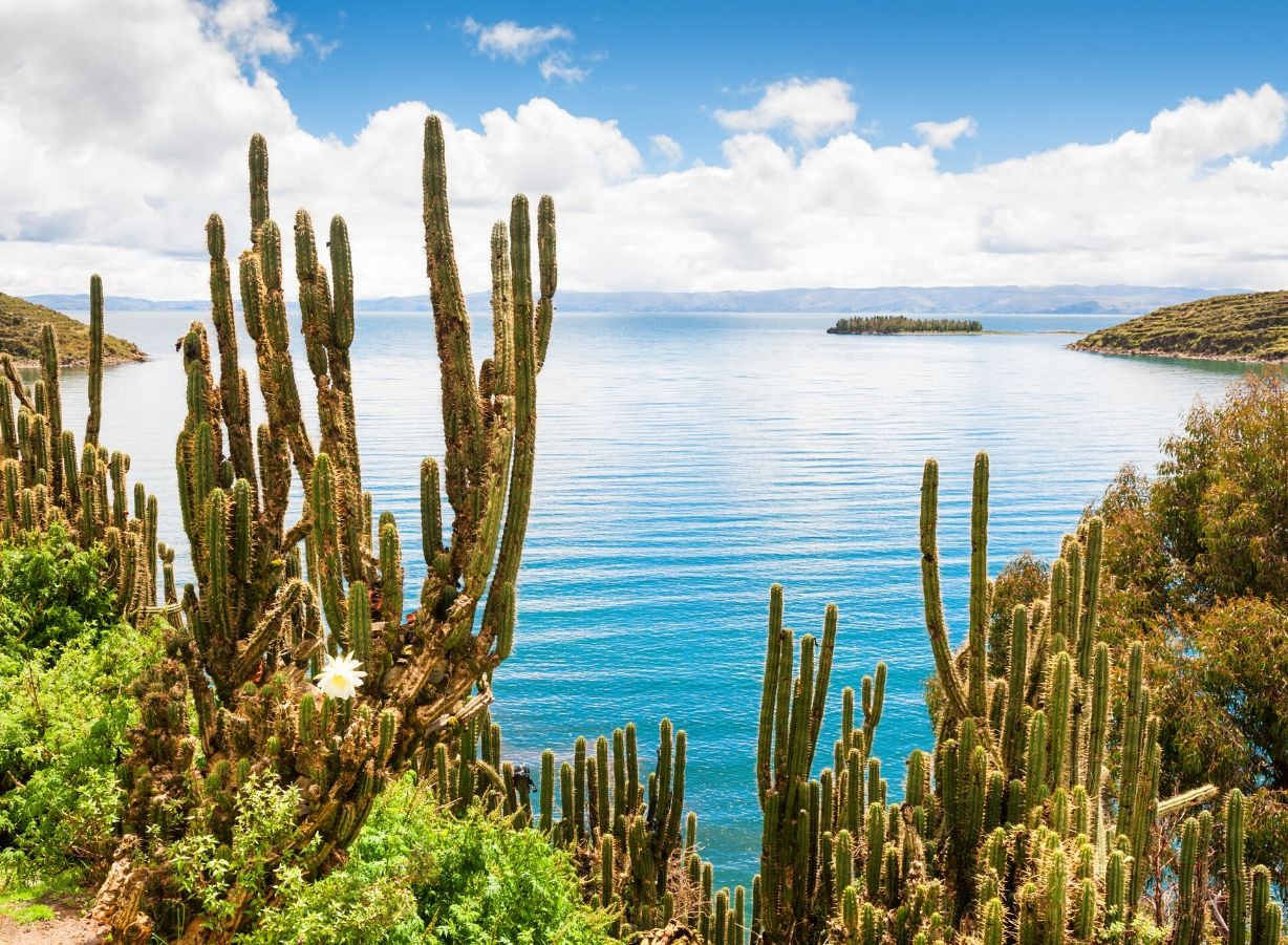 bolivia3