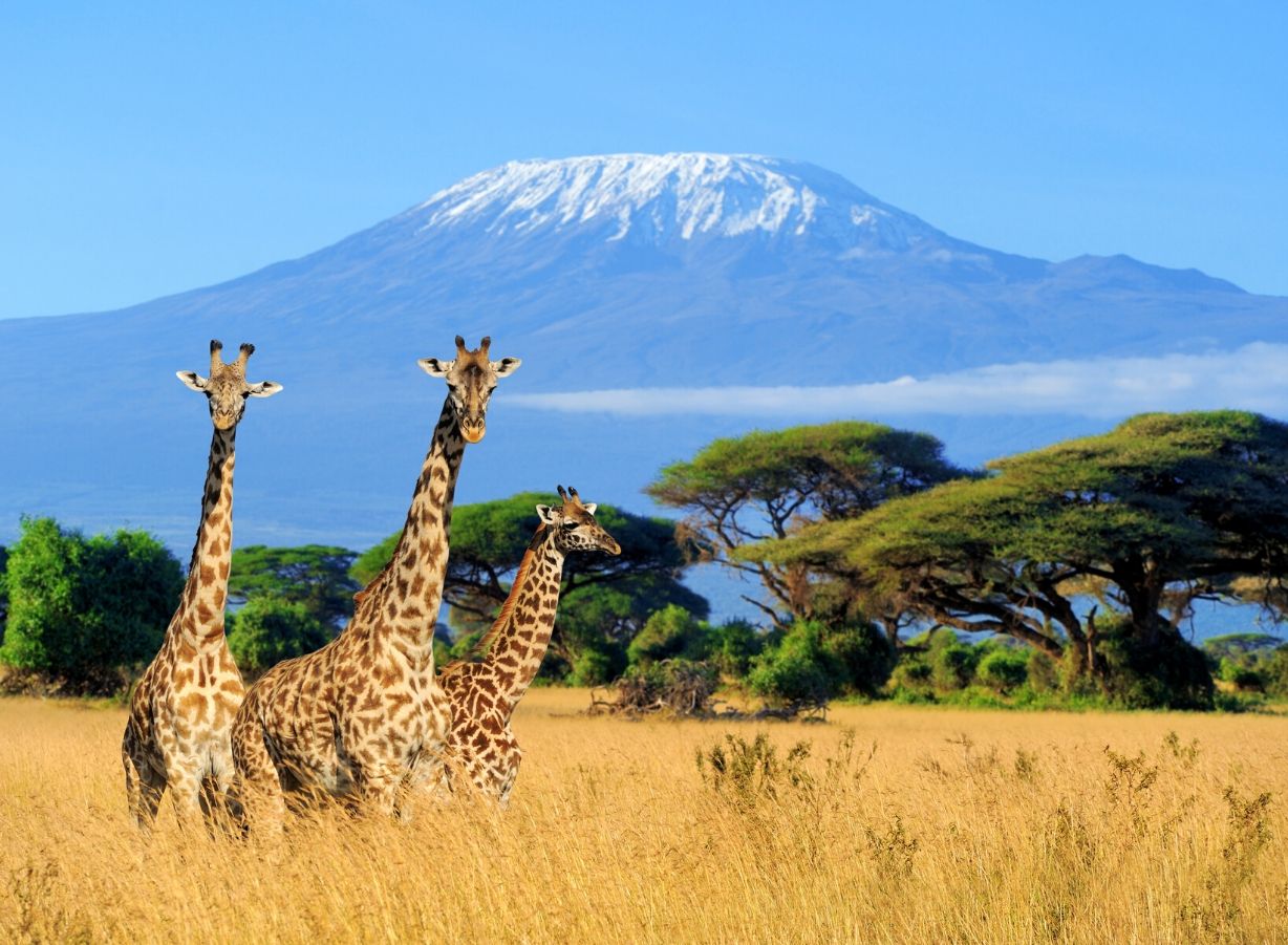 Kenya