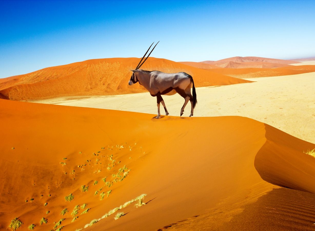 namibia2