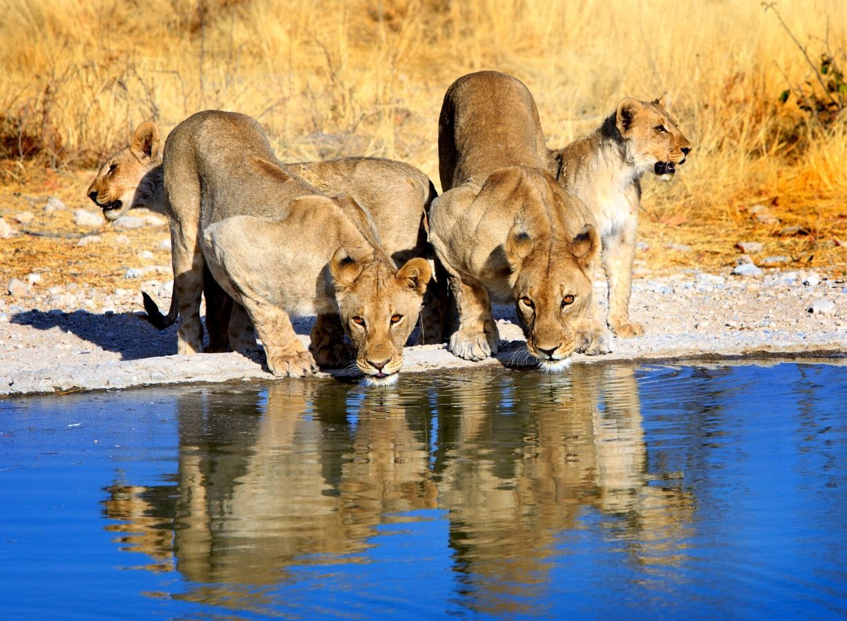namibia3