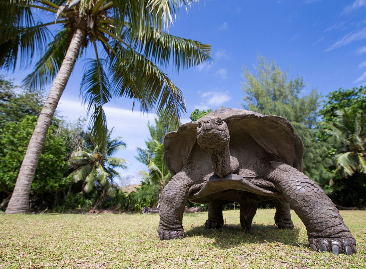 seychelles3