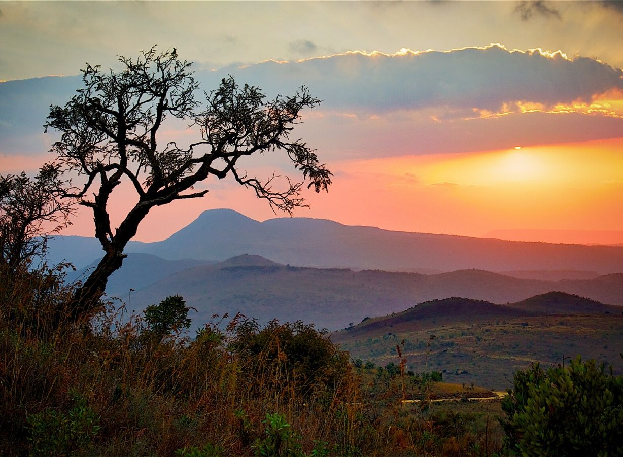 sudafrica2