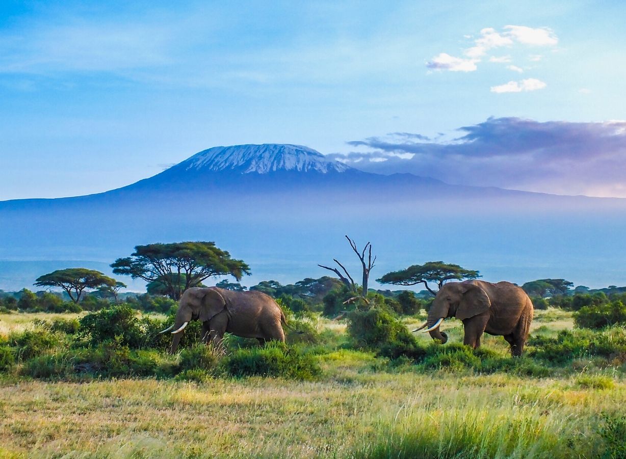 Tanzania