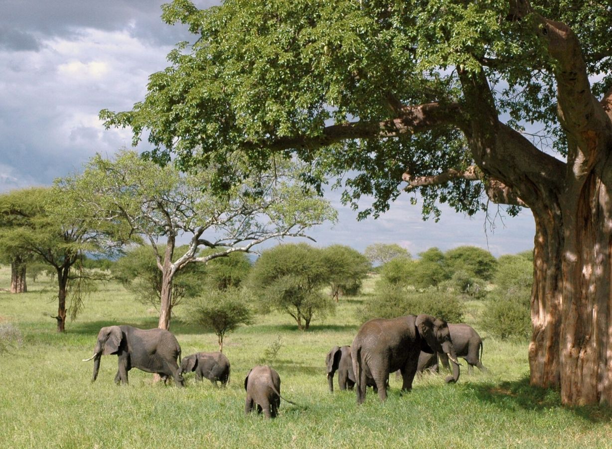 tanzania2