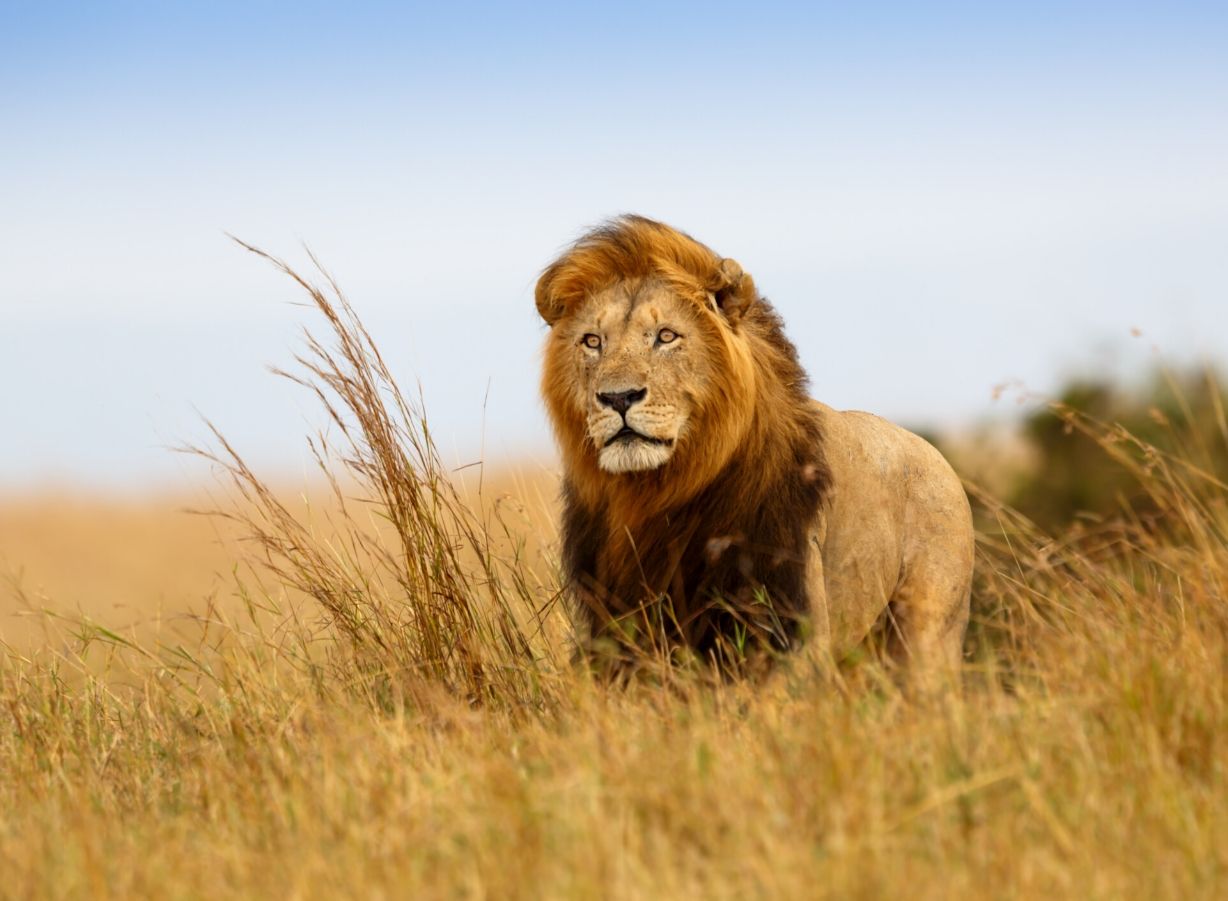 tanzania3