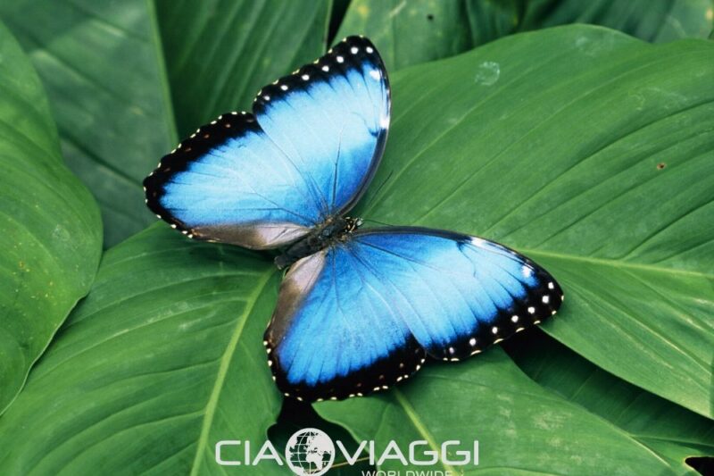 Gran Tour Costa Rica