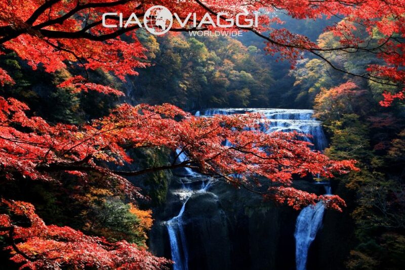 I Colori del Giappone