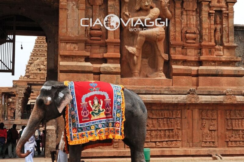 India del sud marzo 2018