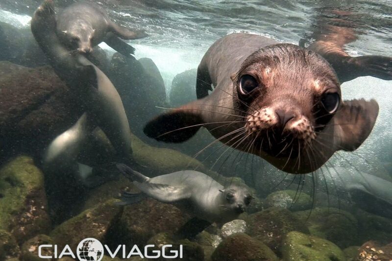 Grantour Ecuador e Isole Galapagos