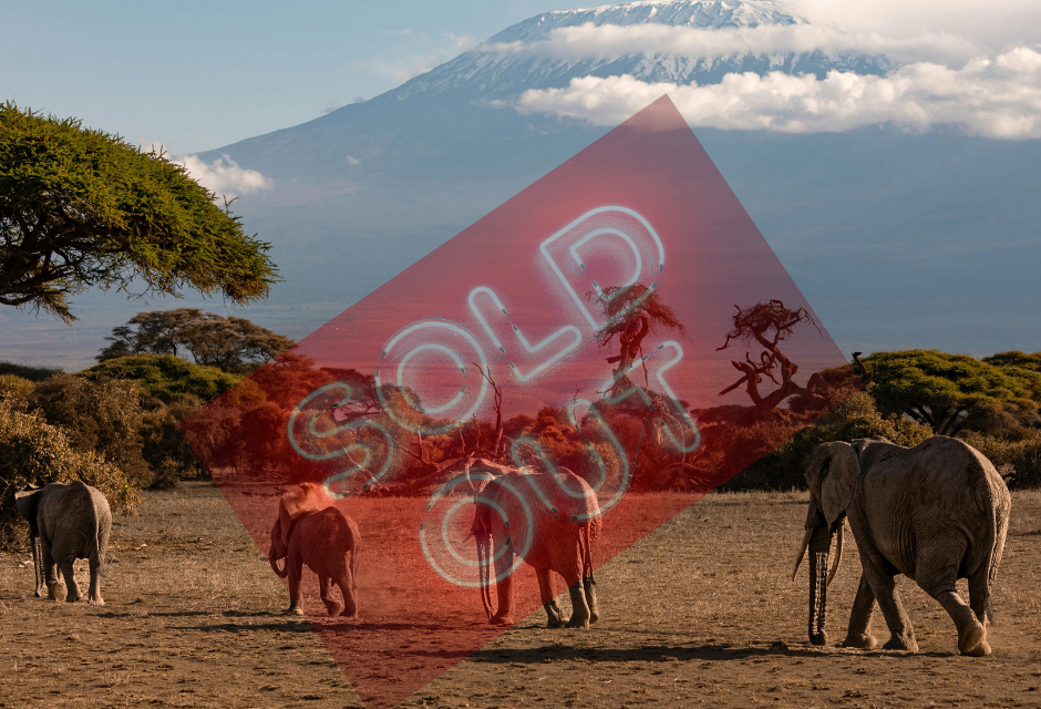 TANZANIA SAFARI NOVEMBRE 2025